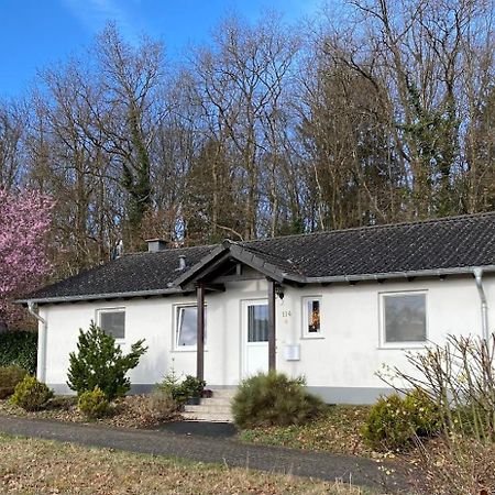 'T Boszicht Villa Gerolstein Kültér fotó